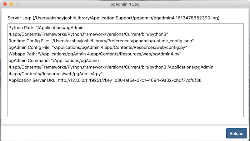 Runtime View Log